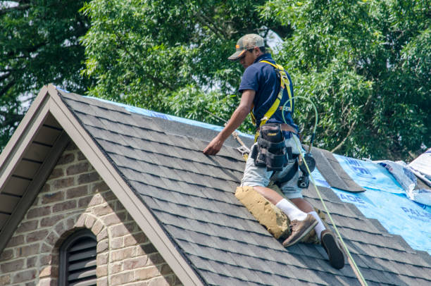 Best Storm Damage Roof Repair  in Montgomery, AL